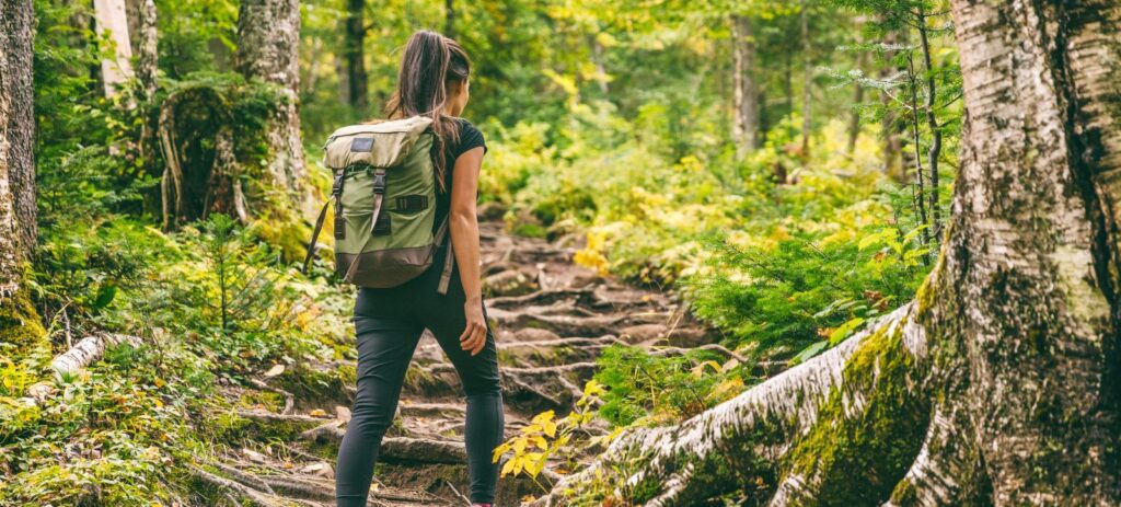 Trekking en Vietnam: Las Mejores Caminatas para Inspirar tu Próxima Aventura Increíble