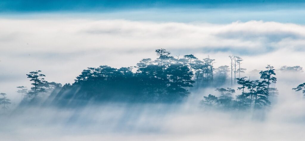 Guía de viaje de Da Lat