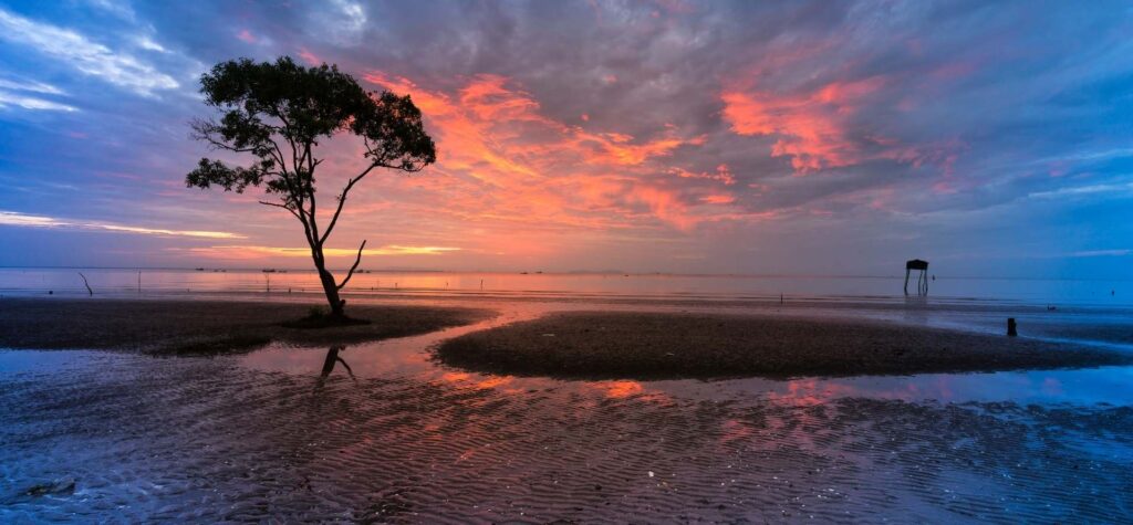 guía de viaje Tien Giang