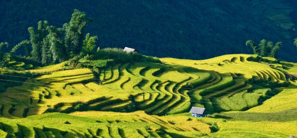 Viaje De Mu Cang Chai