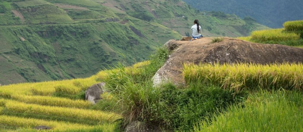 Campo de rocas antiguas de Sa Pa