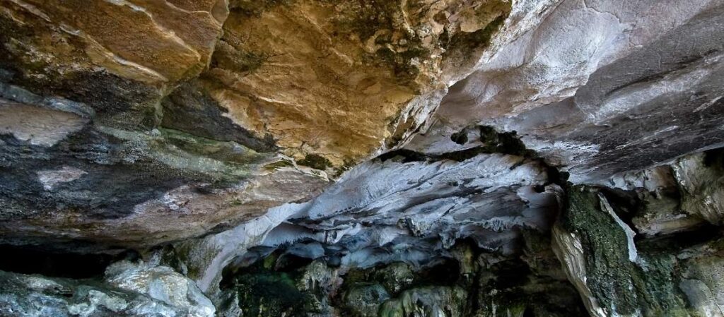 Cueva de Bo Nau