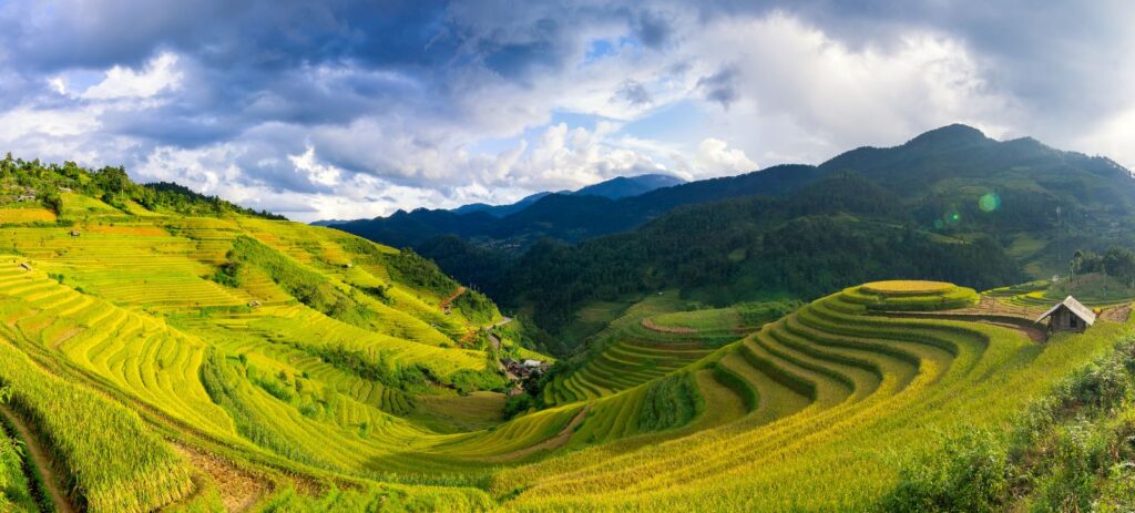Disfruta de la belleza de los campos en terrazas de Mu Cang Chai durante la temporada del arroz maduro.