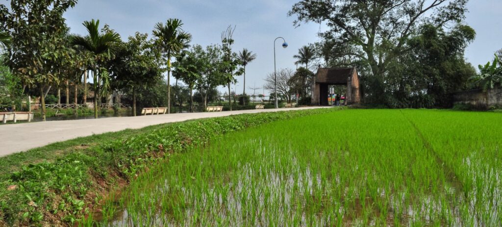 Pueblo antiguo de Duong Lam