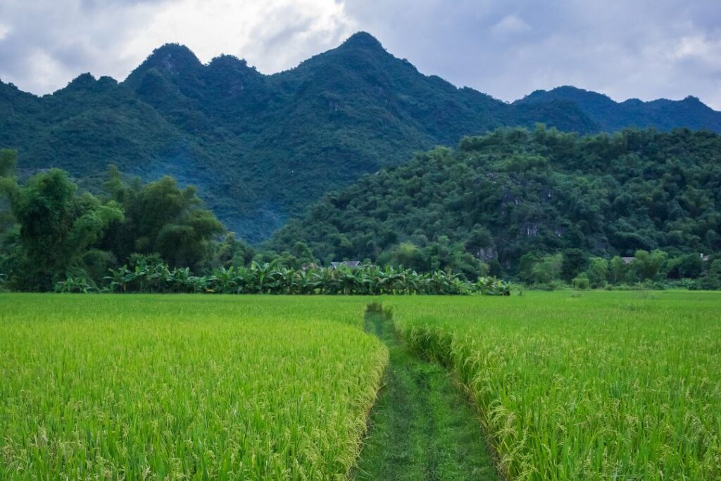 Vistazo a Norte de Vietnam
