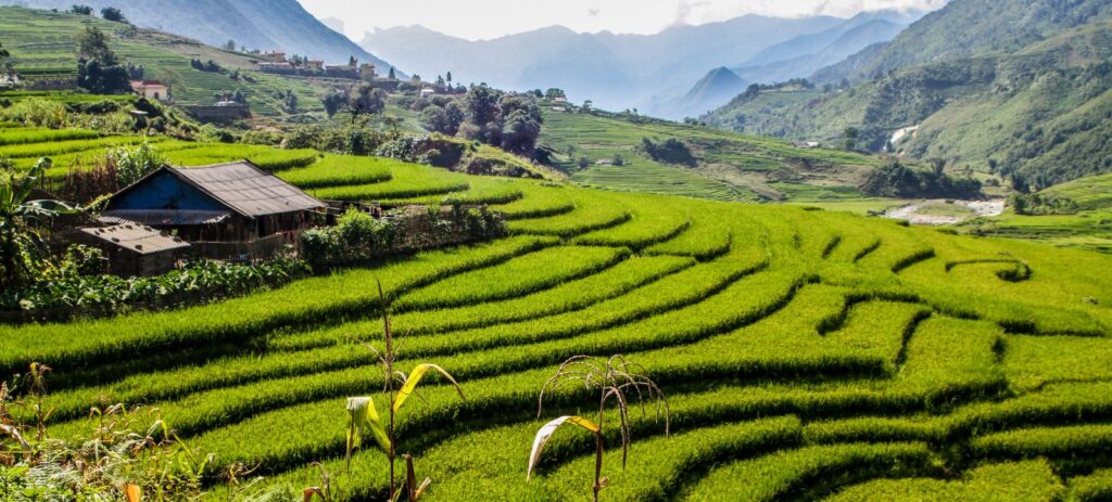 Caminata Sapa en Thanh Phu y pueblos de Sin Chai