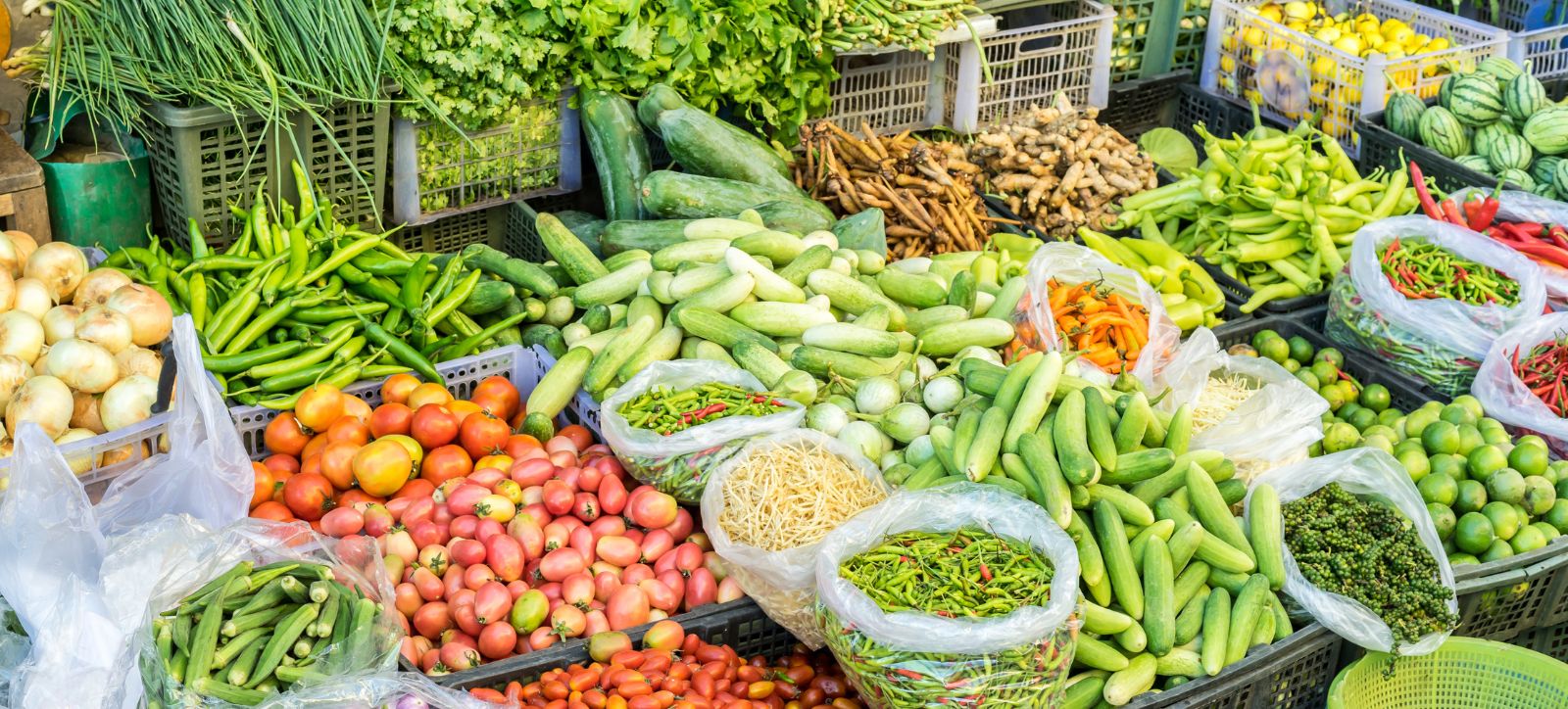 explorando-los-mercados-de-da-nang