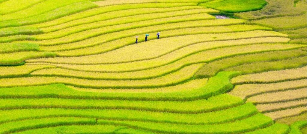 Pueblo de Che Cu Nha