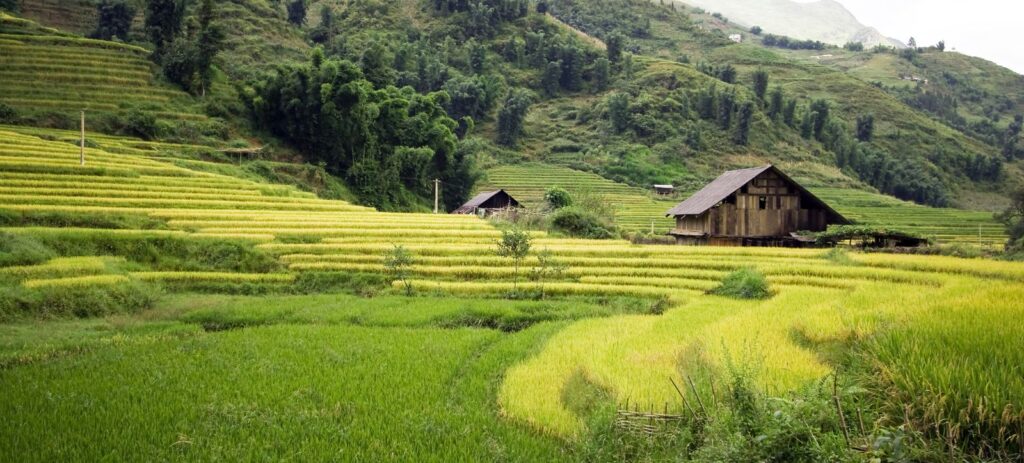 Senderismo de Lujo en Sapa y Estancia en Topas Ecolodge