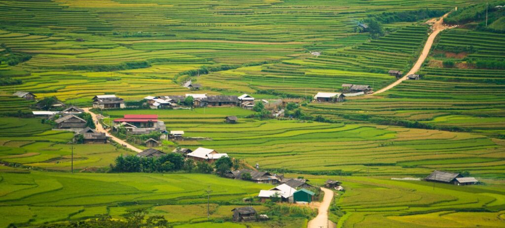 Aspectos destacados de Mu Cang Chai 4 días