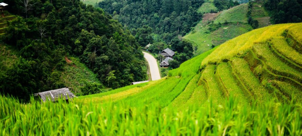 Excursión a Mu Cang Chai y Crucero Por la Bahía de Halong