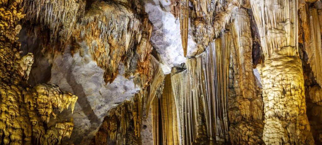 Excursión a Phong Nha desde Hoi An 1 Día