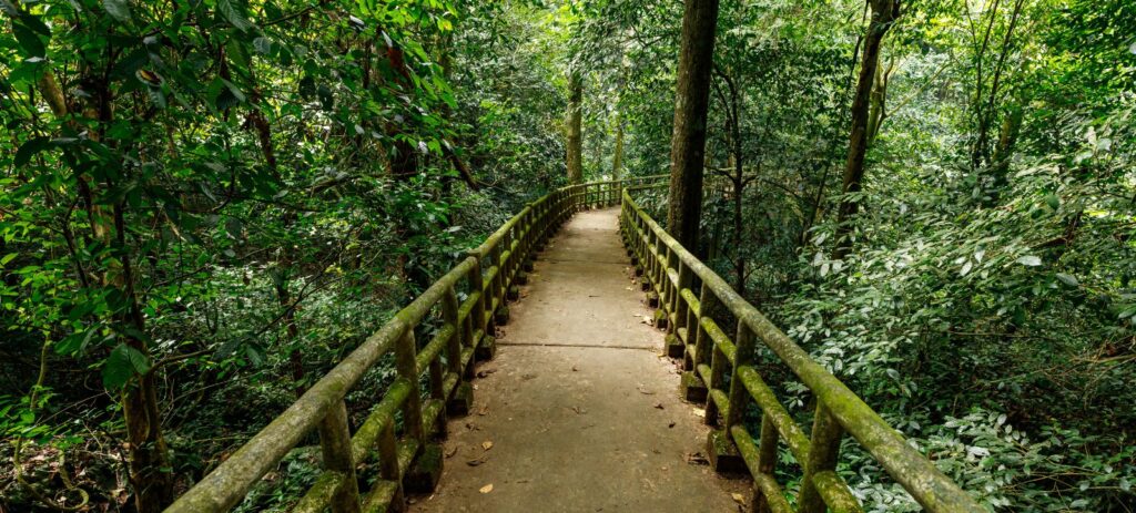 Excursión al Parque Nacional Cuc Phuong