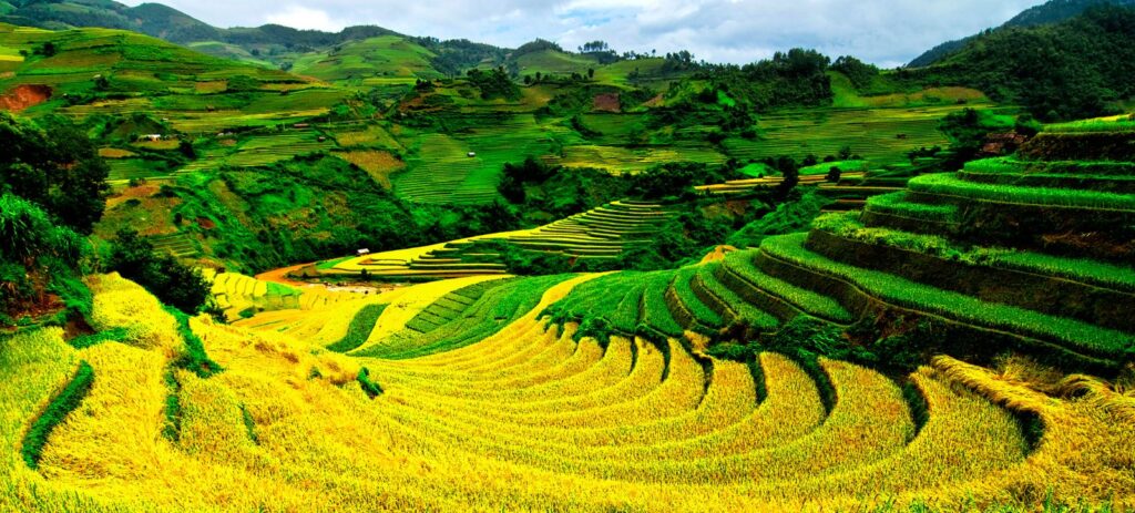 Fotografía de Mu Cang Chai y Viaje a Moc Chau