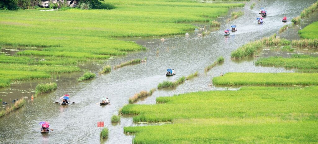 Recorrido en Barco por Tam Coc