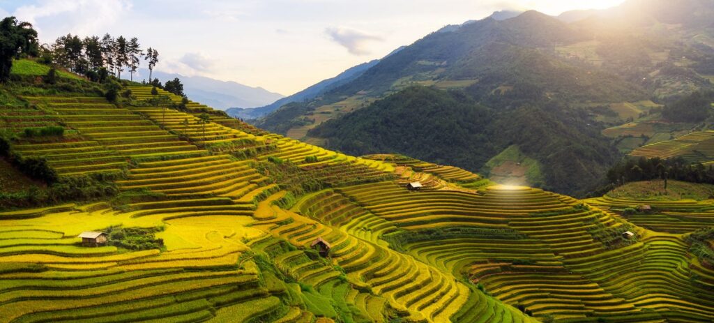 Senderismo de Mu Cang Chai